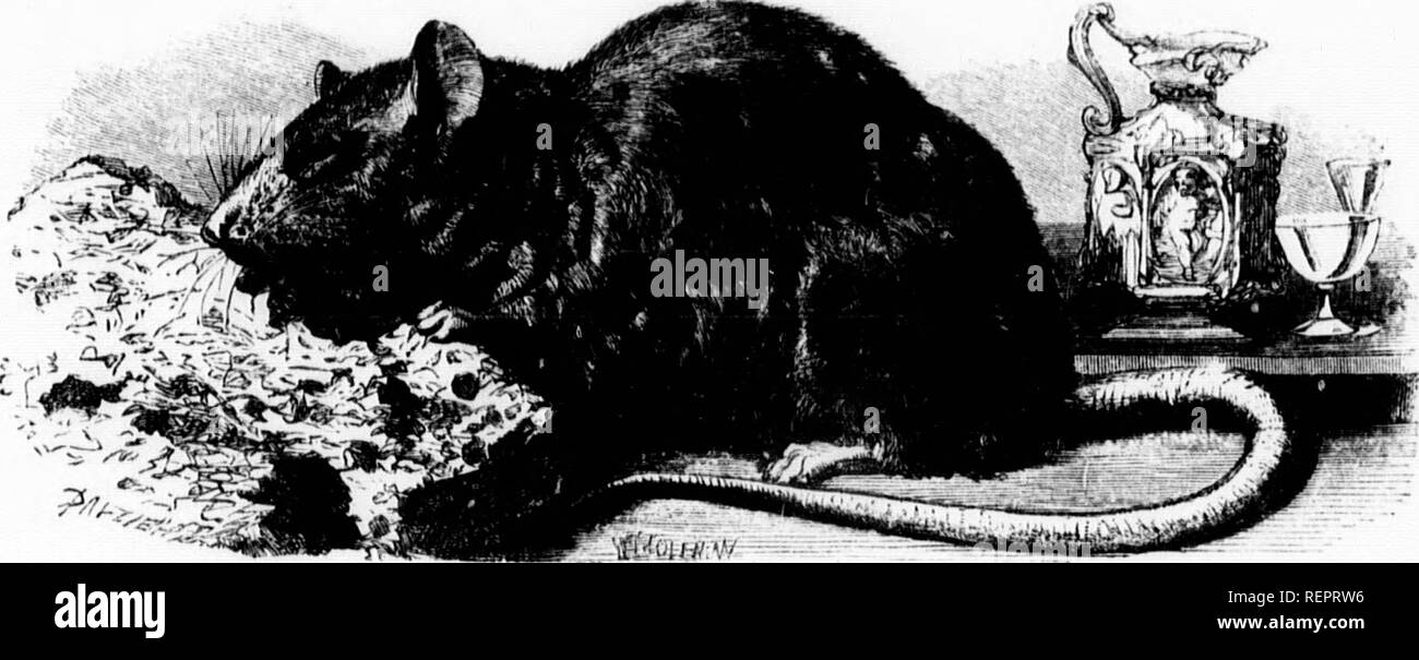 Mann Kat Ich Stockfotos Und Bilder Kaufen Alamy
