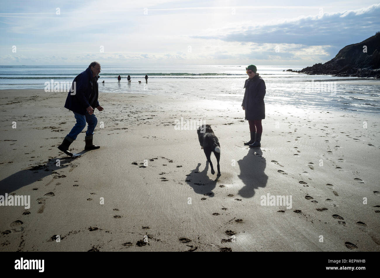 Hunde und ihre Besitzer auf dem silbrigen Sand von Wonwell Beach im Winter bei Ebbe, South Hams, Devon, Großbritannien Stockfoto