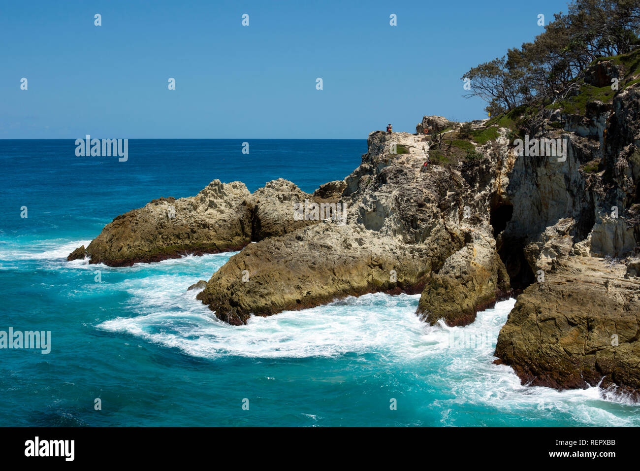 Felsen nördlich an der Schlucht, Point Lookout, North Stradbroke Island, Queensland, Australien Stockfoto