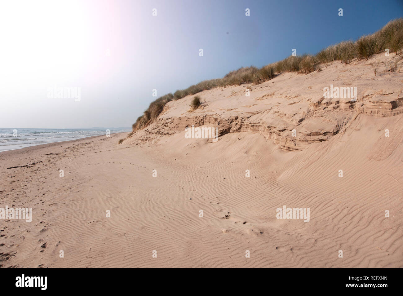 Sanddünen an der Druridge Bay, Northumberland Stockfoto