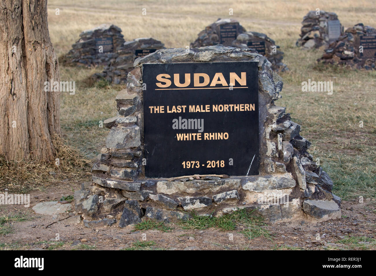 Gedenktafel in den Sudan, der letzte männliche Northern White Rhino, das im April 2018 Ol Pejeta Conservancy, Kenia gestorben Stockfoto