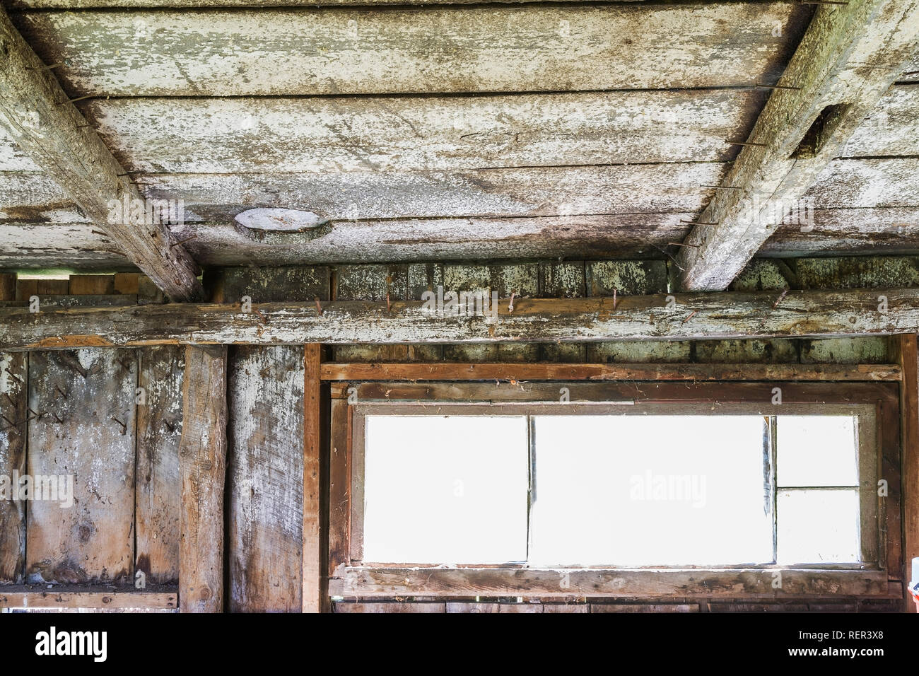 Fenster und verblasste weiß lackiertem Holz beplankt Decke mit Baumstamm Balken und Wände in einem alten verwitterten Scheune Stockfoto