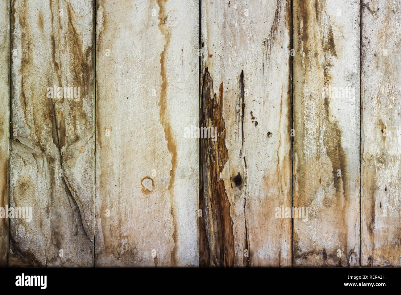 Close-up verblasster weiß lackiert Holzbohlen mit Wasser Flecken und Schimmel in einem verwitterten alten Scheune Stockfoto