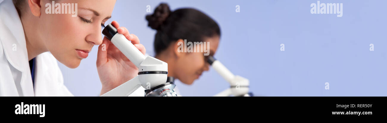 Panoramablick Web Banner der weiblichen medizinische oder wissenschaftliche Forscher oder Arzt mit Ihrem Mikroskop in einem Labor mit Ihren asiatischen Kollegen aus Fokus b Stockfoto