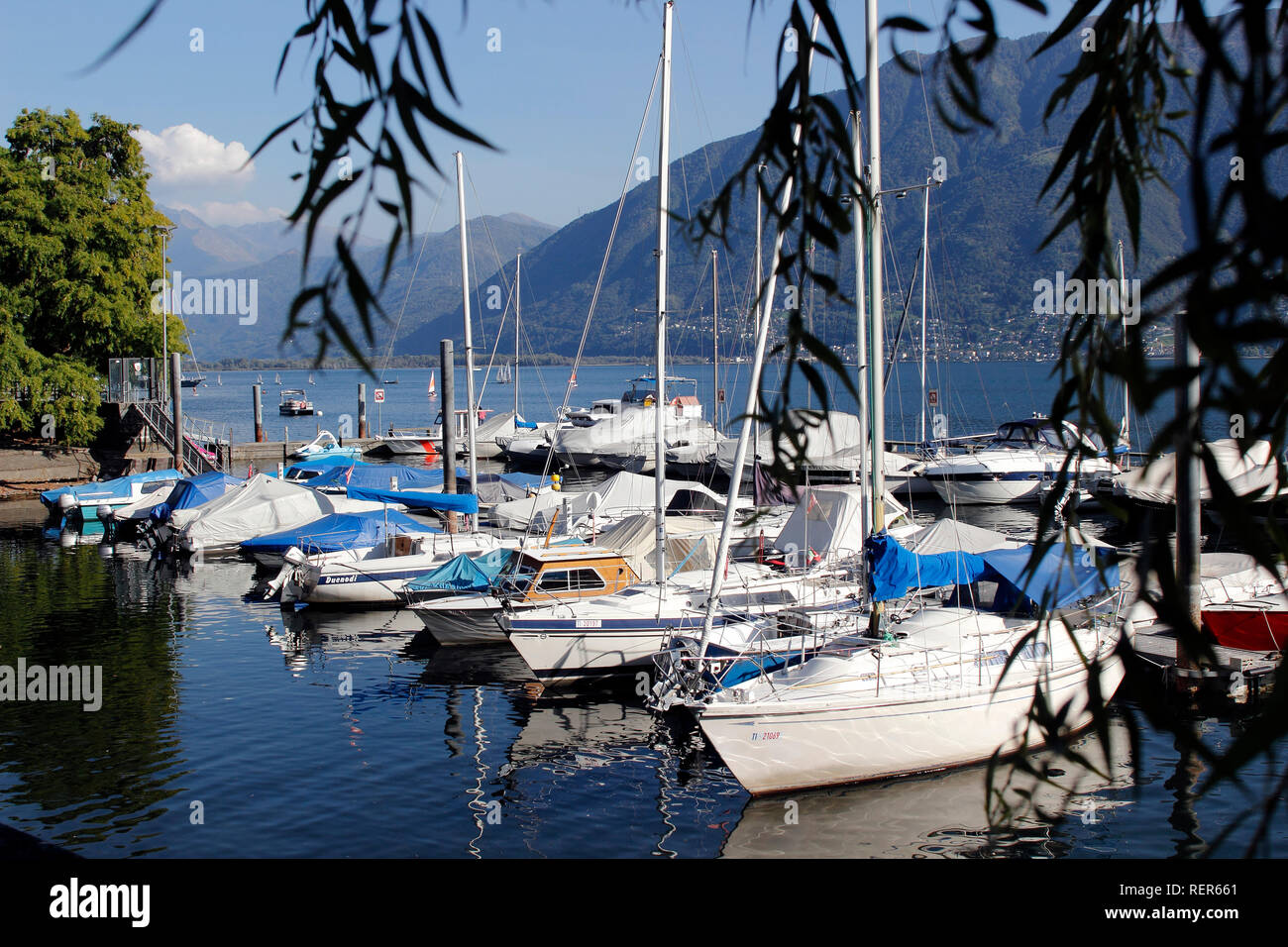 Schweiz Kanton Tessin Stadt Locarno Lago Maggiore See Boote am Liegeplatz im Jachthafen am See Stockfoto