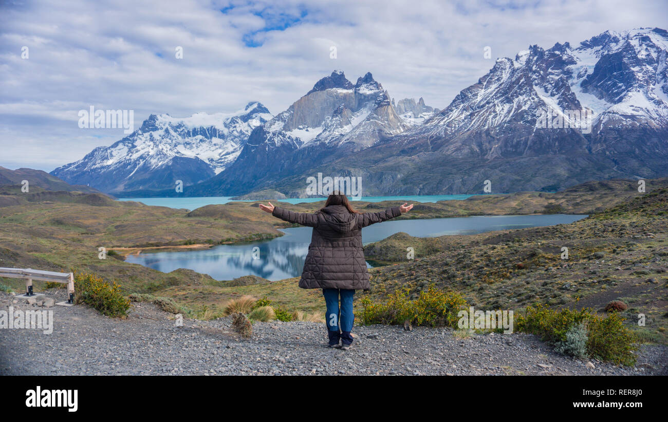 Tier- und Pflanzenwelt und Natur im Parque Torres del Paine, Chile, Patagonien Stockfoto