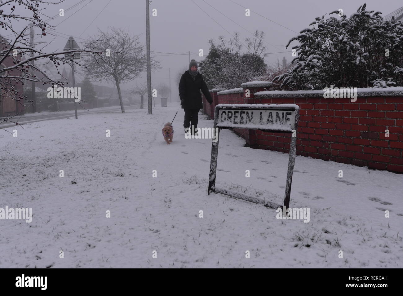 Unangemessene zeichen Green Lane, Willaston, Crewe, Cheshire, UK, Frau wandern ein Hund durch den Schnee auf einem weißen Wintermorgen. Stockfoto