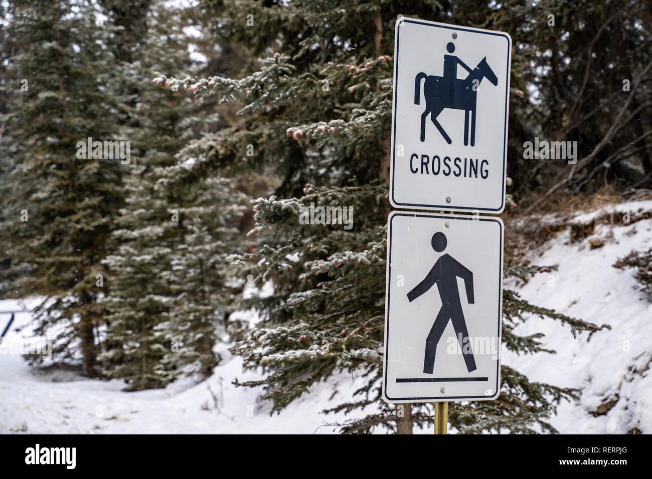 Zeichen für beide Reiterinnen und Reiter Kreuzung und der Fussgängerzone Kreuzung im Winter Stockfoto