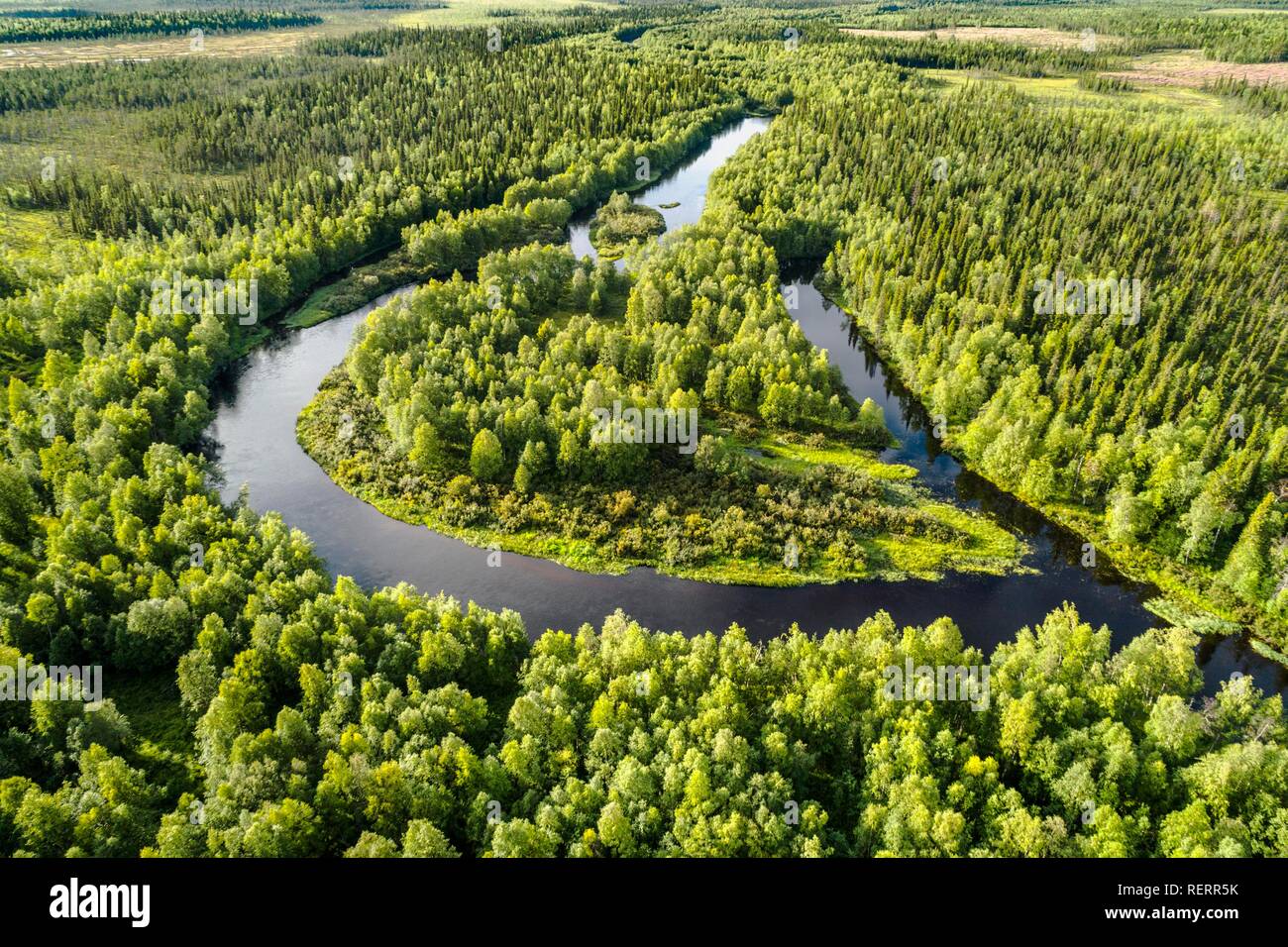 Drone, Luftaufnahme eines Flusses Loop, Windung des Kapsajoki in der Borealen arktis Wald, Kittilä, Lappland, Finnland Stockfoto