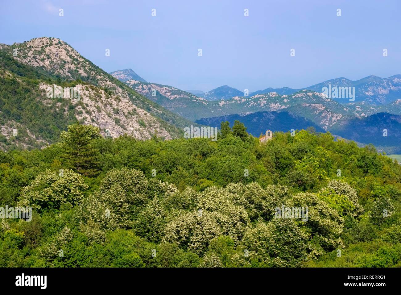Berglandschaft zwischen Rijeka Crnojevica und Cetinje, Montenegro Stockfoto
