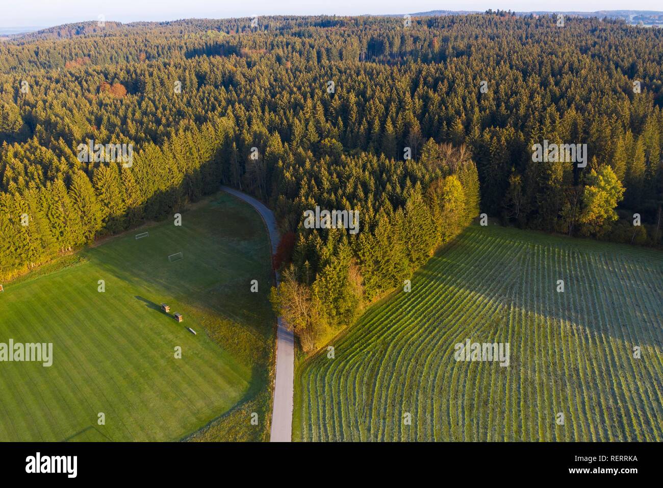 Fichtenwald, Sport Feld und Wiese, in der Nähe von Dietramszell, Drone, Oberbayern, Bayern, Deutschland Stockfoto