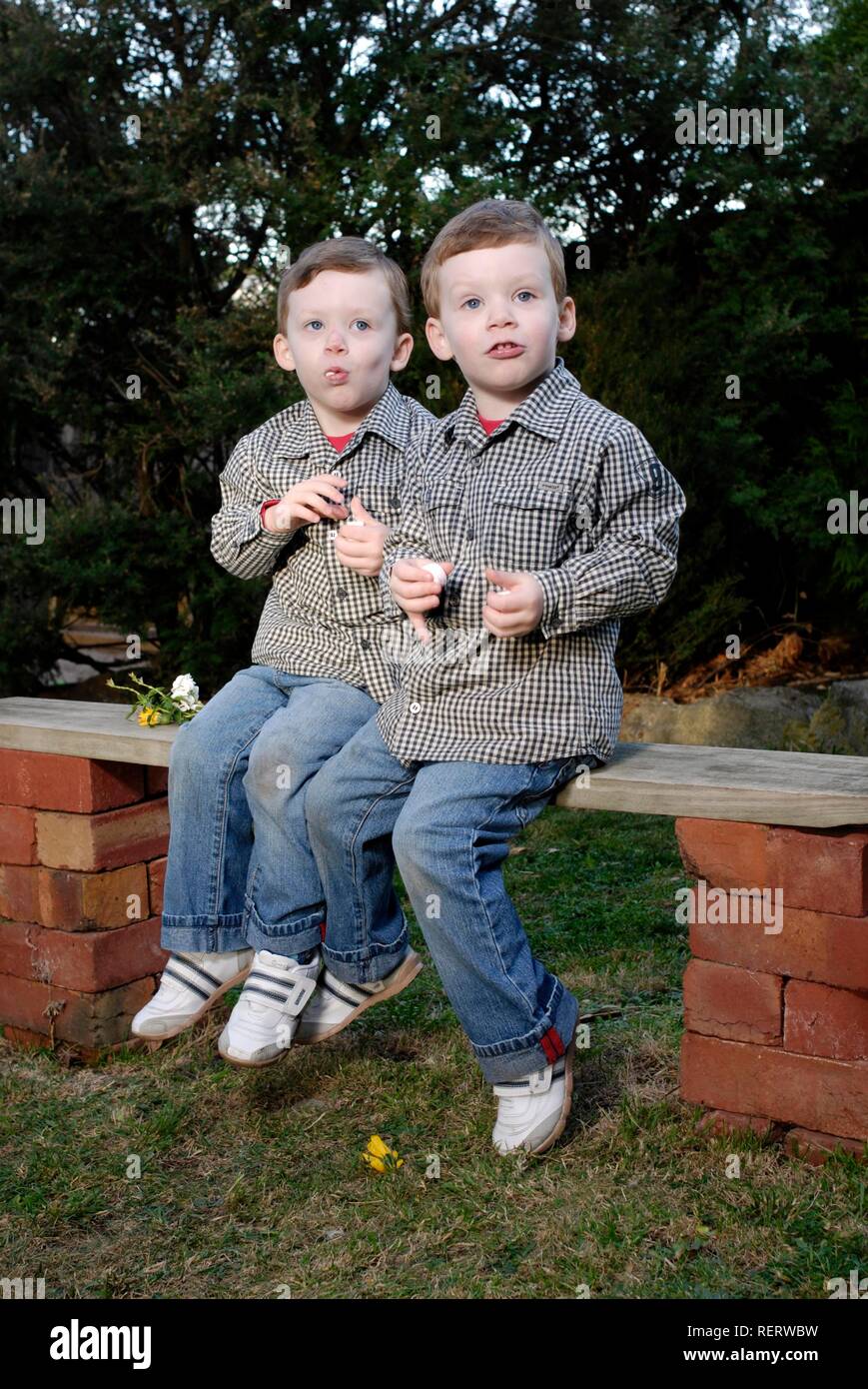 Zwillinge, Dreieinhalb Jahre, essen Marshmallows im Hinterhof Stockfoto