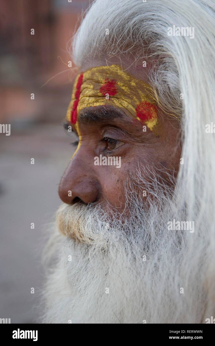 Indische Heilige Mann, Sadhu, Porträt, Varanasi, Benares, Uttar Pradesh, Indien, Südasien Stockfoto