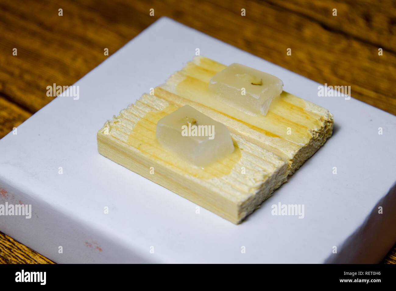 Paraffinblöcke mit Krebs Proben, Proben für die histologische Untersuchung des Tumors. Teile eines Tumors für tiefe Forschung von Krebszellen. Stockfoto