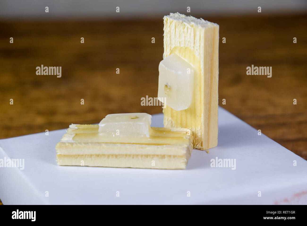 Paraffinblöcke mit Krebs Proben, Proben für die histologische Untersuchung des Tumors. Teile eines Tumors für tiefe Forschung von Krebszellen. Stockfoto