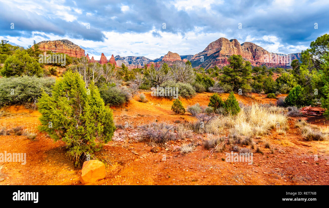 Die roten Felsen von in Munds Bergwildnis gesehen von der Kleinen Horser Trail Head in Sedona im nördlichen Arizona im Coconino National Forest, USA Stockfoto