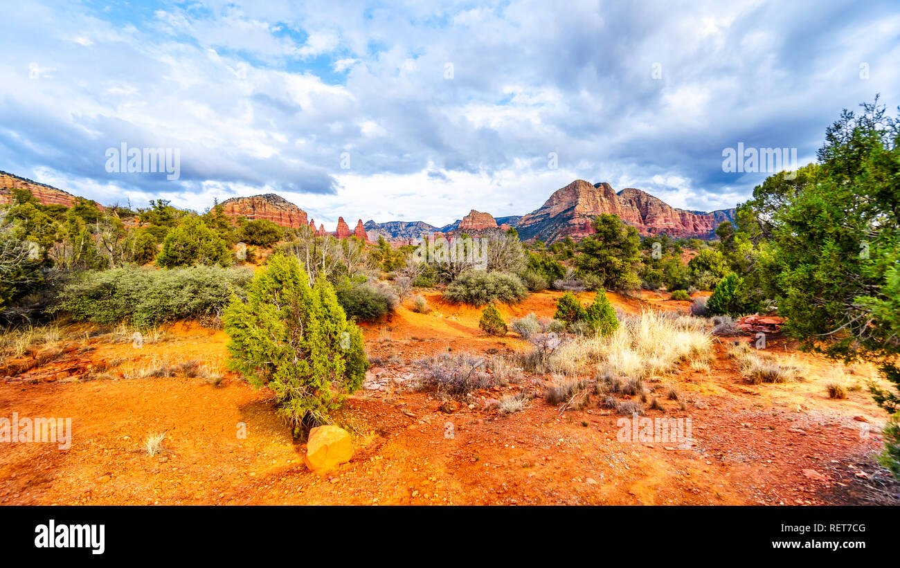 Die roten Felsen von in Munds Bergwildnis gesehen von der Kleinen Horser Trail Head in Sedona im nördlichen Arizona im Coconino National Forest, USA Stockfoto