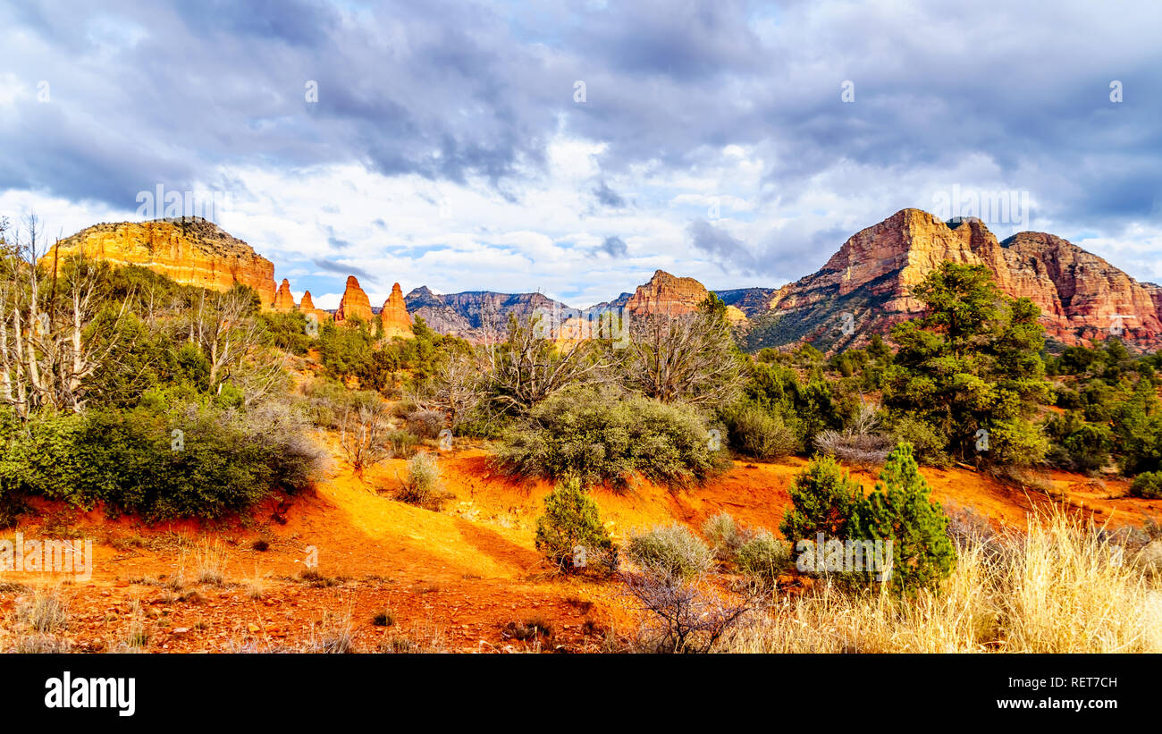 Die roten Felsen von in Munds Bergwildnis gesehen von der Kleinen Horser Trail Head in Sedona im nördlichen Arizona im Coconino National Forest, USA Stockfoto