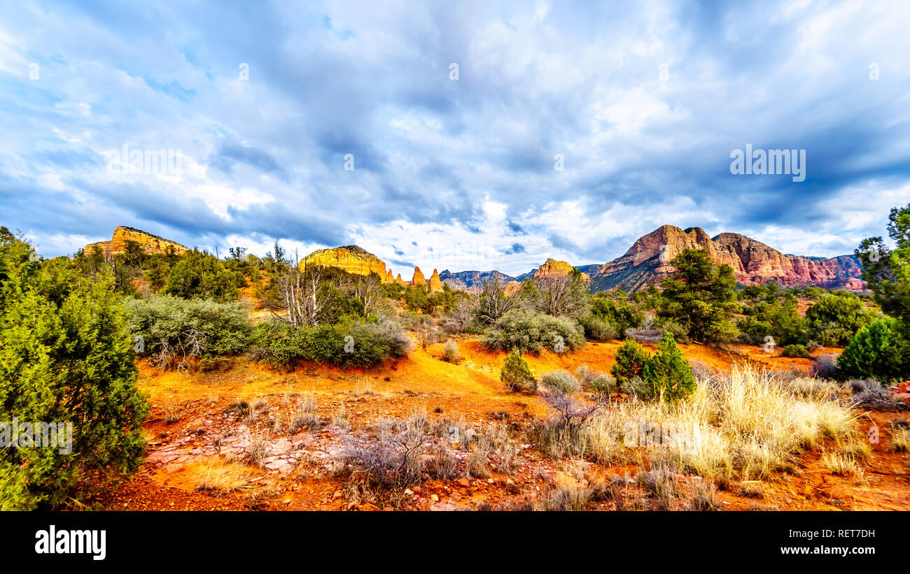 Die roten Felsen von in Munds Bergwildnis gesehen von der Kleinen Horser Trail Head in Sedona im nördlichen Arizona im Coconino National Forest, USA Stockfoto