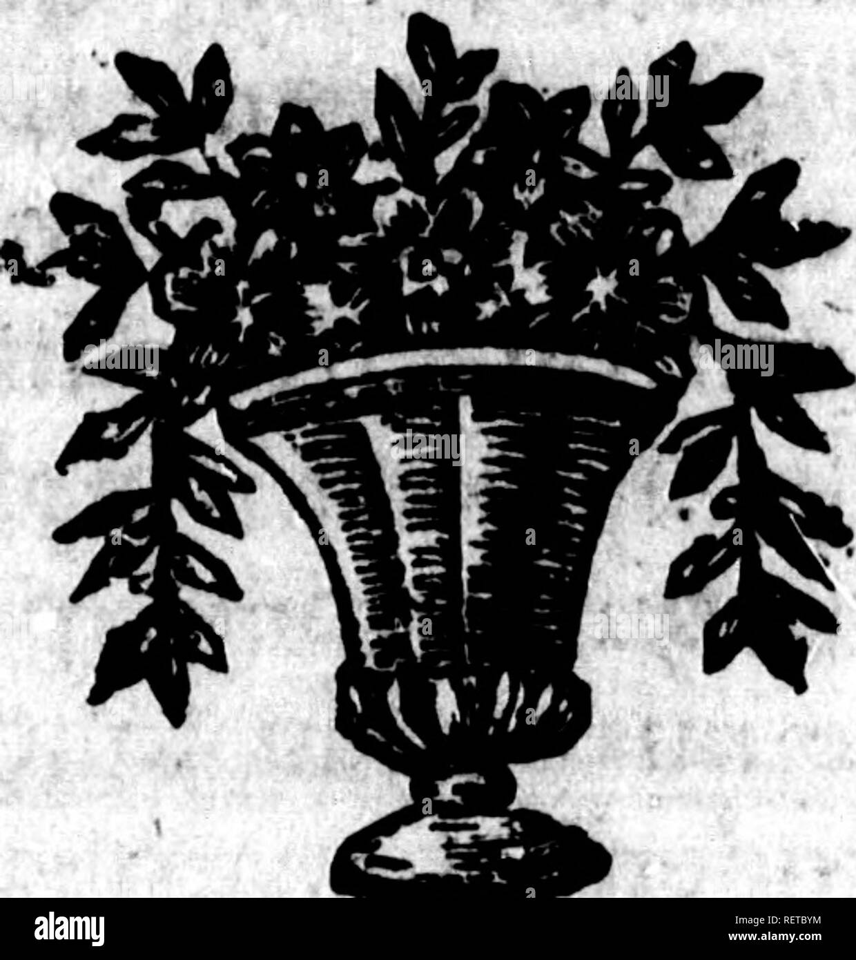 . Histoire Naturelle des quadrupÃ ¨ des ovipares et des Serpens [microforme]. Reptilien, Schlangen, Reptilien und Schlangen. 1 CK&gt; Hiftoire Naturelle'^Ã© f^s eft bleuÃ¢tre-, le ventre eft blanchÃ¢tre&amp; CachetÃ © d'un-Roux pkis mehr oder weniger foncÃ©*, ich^^ irvidu qui fait Partie de la coÃ leÃ ¯¢ Iori kbe RoÃ®, a deux pieds Trois pouces iix Linien de Länge totale, &Amp; fa Warteschlange cft Longue de fcpt pouces (a). ^ k* bin (a) Le Boai UrodÃ ¨ rie eine Je deflas de la tÃªte eouTert d'Ã©caillÃ © s rhomboÃ ¯ dafes, unies &Amp; femhiables Ã â¢ elfes du Dos, deui Cent quatre-vingt-dix grandes Plaketten Fous Le Corps, &Amp; Cent v Stockfoto