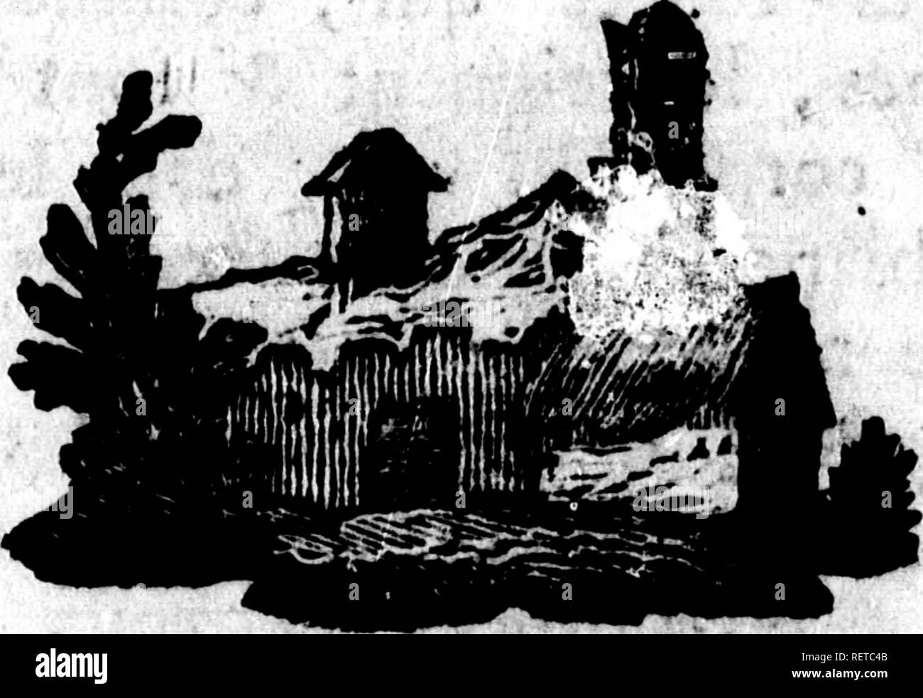 . Histoire Naturelle des quadrupÃ ¨ des ovipares et des Serpens [microforme]. Reptilien, Schlangen, Reptilien und Schlangen.des Serpens. 133 À® ufqu rextrÃ © mitÃ'Ã©e de la Queue {a). (A) Les mÃ¢ choires de h RÃ©ticulaire ne Font point armÃ©es de häkelt Handys; elfea ift tÃªte couverte de neuf grandes Ã © cailles; le dos Garni d'Ã©caiiies Unies &Amp; en; deux Ãent lofange dix-huit grandes Plaketten, &Amp; quatre-vingt paires de petites *--*r. l- • - &Lt;â Il, m-f&lt; y/i auf. Vf â¢â % i^i1, V* - * **'''-e'''^4"/y-.. Â Ã ' â â V-Ã' A&lt; Ich. ^-. Bitte beachten Sie, dass diese Bilder aus Scan extrahiert werden Stockfoto