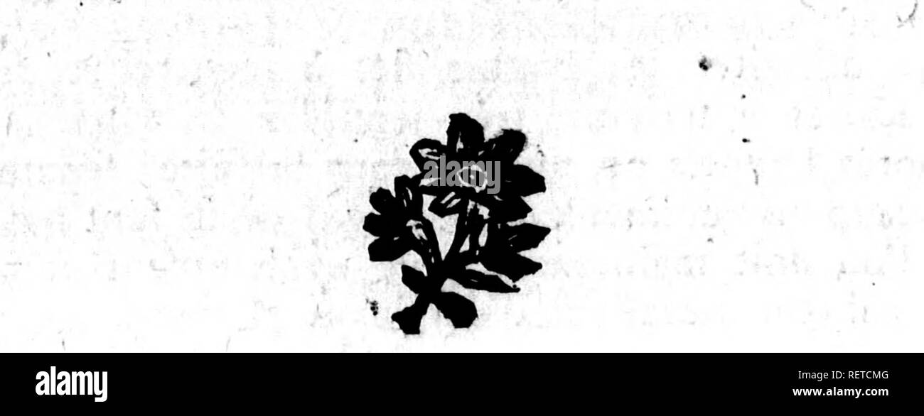 . Histoire Naturelle des quadrupÃ ¨ des ovipares et des Serpens [microforme]. Reptilien, Schlangen, Reptilien und Schlangen. V t 295 Uijloire Naturelle À® a varie fuivant difpofÃ®- les individus, &Amp; qui le Font parottre comme jafpÃ ©. Ce-rouge devient une Couleur fombre^ mehr oder weniger foncÃ© e, Pelz les individus confervÃ©s dans Tefprit-du-vin, qui altÃ¨re de la teinte du mÃªme deffous du corps, nicht 1 "Couleur eft jaunÃ¢tre dans Tanimal vivant. Nous avons comptÃ © Cent trente-deux grandes Plaketten fous À® e ventre de THaimachate qui fait Partie de la coUed: À® auf du Roi, &Amp; vingt-deux paires de p Stockfoto