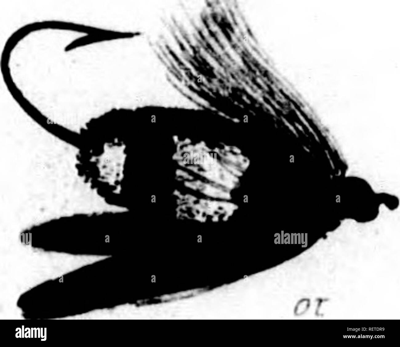 . Frank Förster Fisch und Fischerei der Vereinigten Staaten und des Britischen Provinzen Nordamerika [microform] dargestellt aus der Natur durch den Autor. Angeln; Fischen; Pêche sportive; Poissons. . Bitte beachten Sie, dass diese Bilder sind von der gescannten Seite Bilder, die digital für die Lesbarkeit verbessert haben mögen - Färbung und Aussehen dieser Abbildungen können nicht perfekt dem Original ähneln. extrahiert. Herbert, Henry William, 1807-1858. New York: Stringer & Amp; Townsend Stockfoto