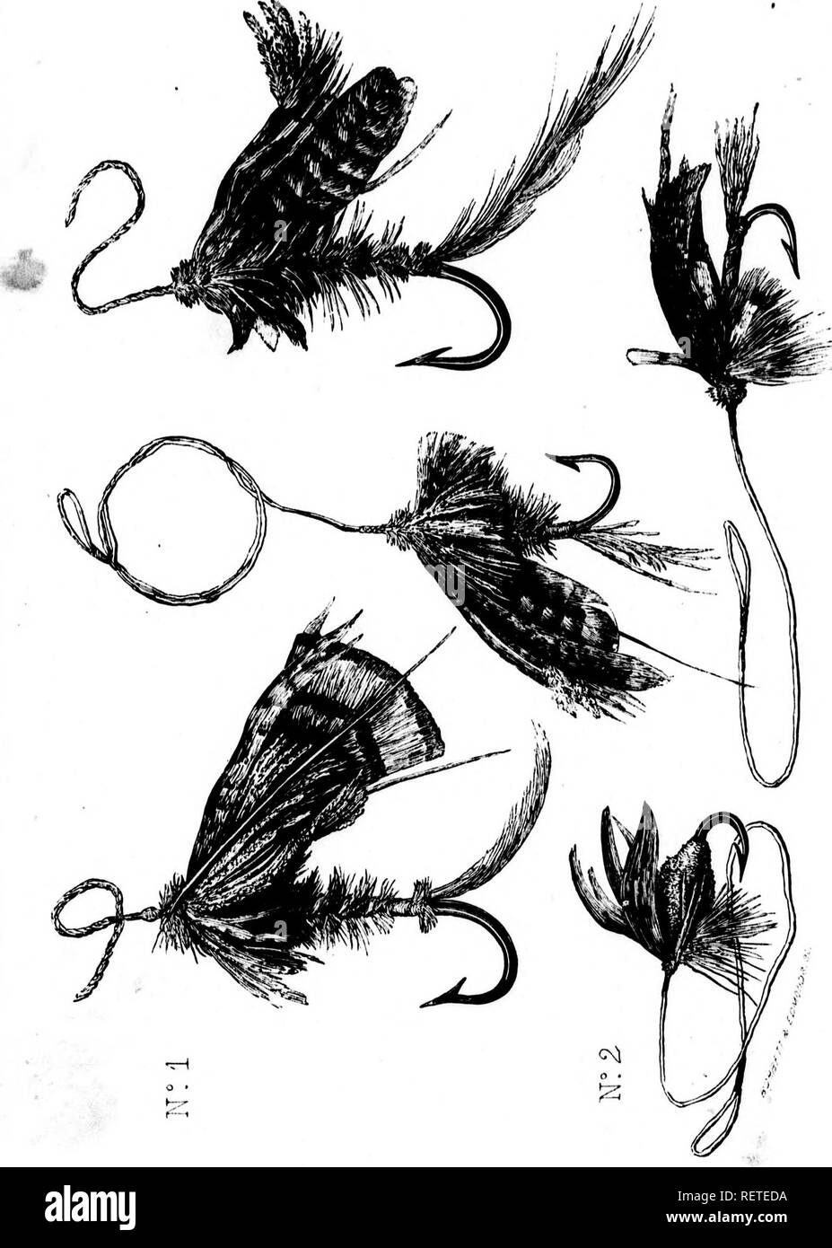 . Frank Förster Fisch und Fischerei der Vereinigten Staaten und des Britischen Provinzen Nordamerika [microform] dargestellt aus der Natur durch den Autor. Angeln; Fischen; Pêche sportive; Poissons. . Bitte beachten Sie, dass diese Bilder sind von der gescannten Seite Bilder, die digital für die Lesbarkeit verbessert haben mögen - Färbung und Aussehen dieser Abbildungen können nicht perfekt dem Original ähneln. extrahiert. Herbert, Henry William, 1807-1858. New York: Stringer & Amp; Townsend Stockfoto