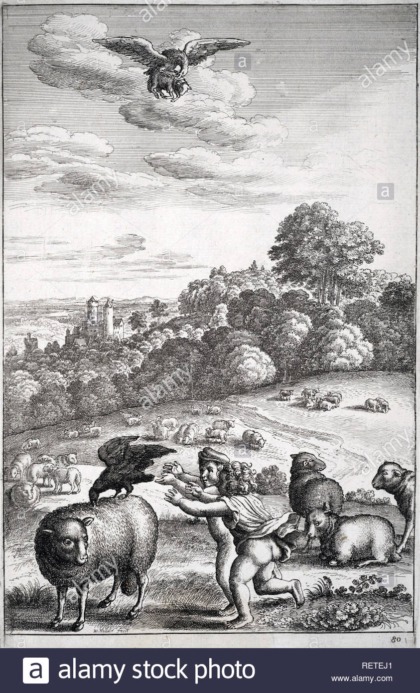 Die Krähe und die Schafe, einer der Aesops Fabeln, Radierung von Böhmische Kupferstecher Wenzel Hollar aus 1600s Stockfoto