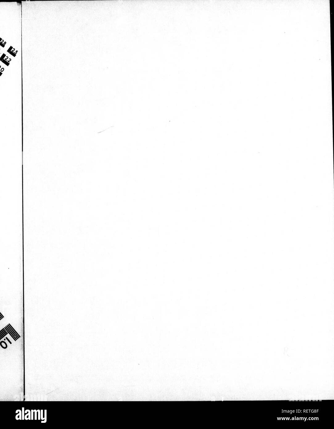 . Die Naturgeschichte der Vögel [microform]: Aus dem Französischen von Graf de Buffon. Ornithologie; Vögel; Ornithologie; Oiseaux. . Bitte beachten Sie, dass diese Bilder sind von der gescannten Seite Bilder, die digital für die Lesbarkeit verbessert haben mögen - Färbung und Aussehen dieser Abbildungen können nicht perfekt dem Original ähneln. extrahiert. Buffon, Georges Louis Leclerc, comte de, 1707-1788. London: Gedruckt für A. Strachan und T. Cadell in der Faser, und J. Murray. .. Stockfoto