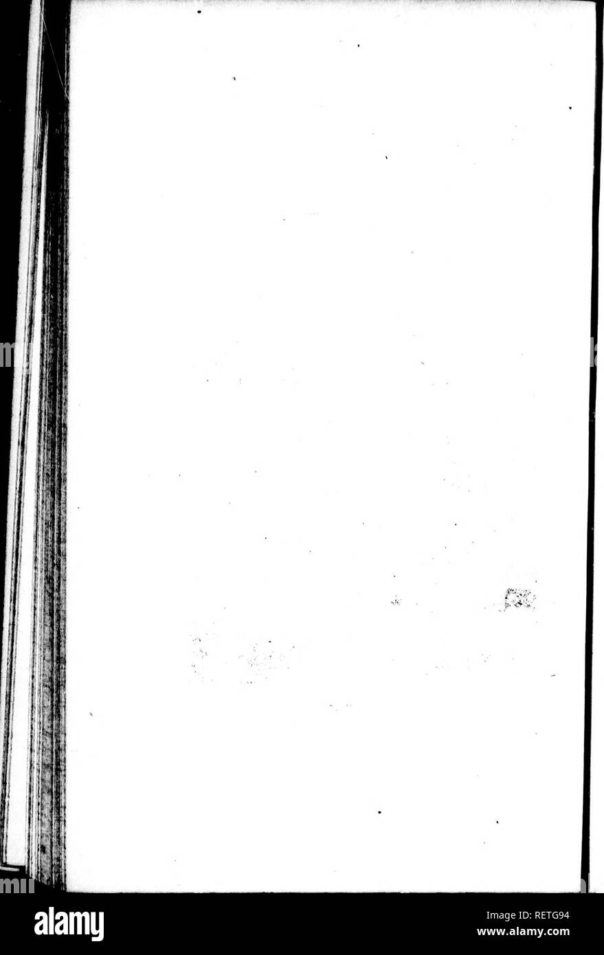 . Die Naturgeschichte der Vögel [microform]: Aus dem Französischen von Graf de Buffon. Ornithologie; Vögel; Ornithologie; Oiseaux. . Bitte beachten Sie, dass diese Bilder sind von der gescannten Seite Bilder, die digital für die Lesbarkeit verbessert haben mögen - Färbung und Aussehen dieser Abbildungen können nicht perfekt dem Original ähneln. extrahiert. Buffon, Georges Louis Leclerc, comte de, 1707-1788. London: Gedruckt für A. Strachan und T. Cadell in der Faser, und J. Murray. .. Stockfoto