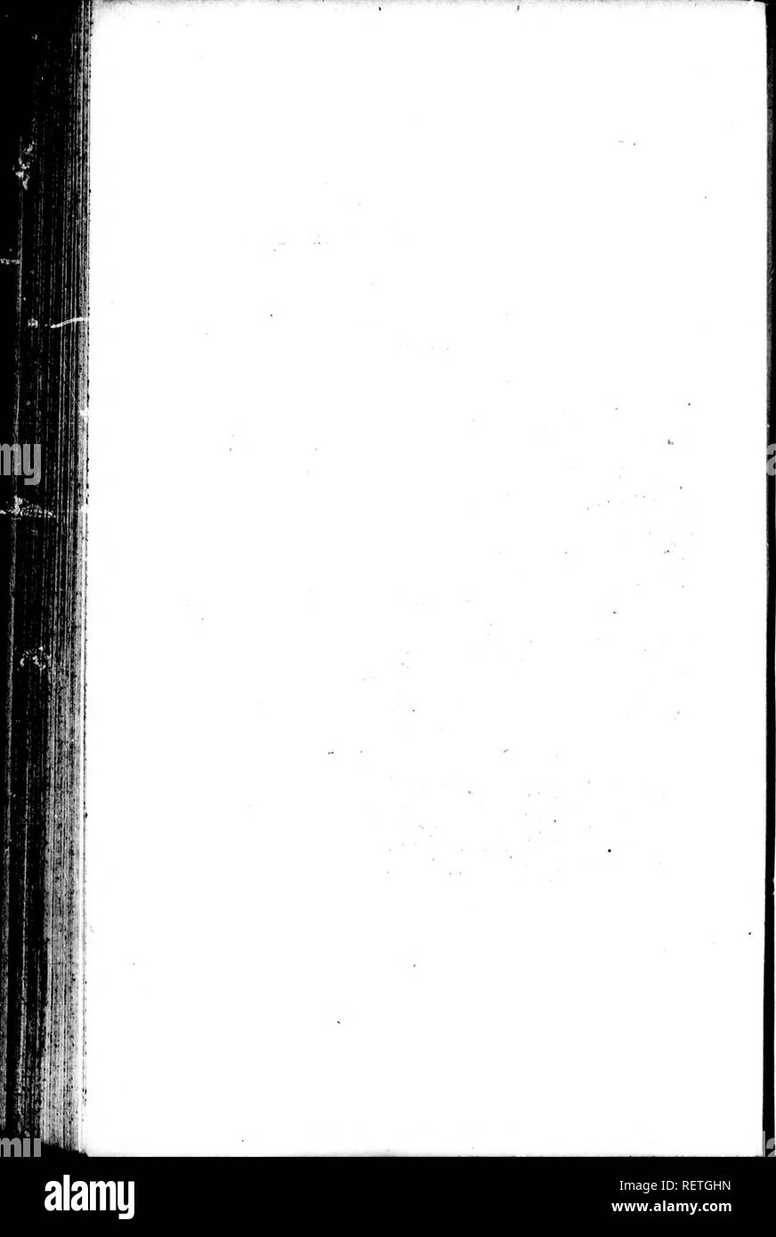 . Die Naturgeschichte der Vögel [microform]: Aus dem Französischen von Graf de Buffon. Ornithologie; Vögel; Ornithologie; Oiseaux. . Bitte beachten Sie, dass diese Bilder sind von der gescannten Seite Bilder, die digital für die Lesbarkeit verbessert haben mögen - Färbung und Aussehen dieser Abbildungen können nicht perfekt dem Original ähneln. extrahiert. Buffon, Georges Louis Leclerc, comte de, 1707-1788. London: Gedruckt für A. Strachan und T. Cadell in der Faser, und J. Murray. .. Stockfoto