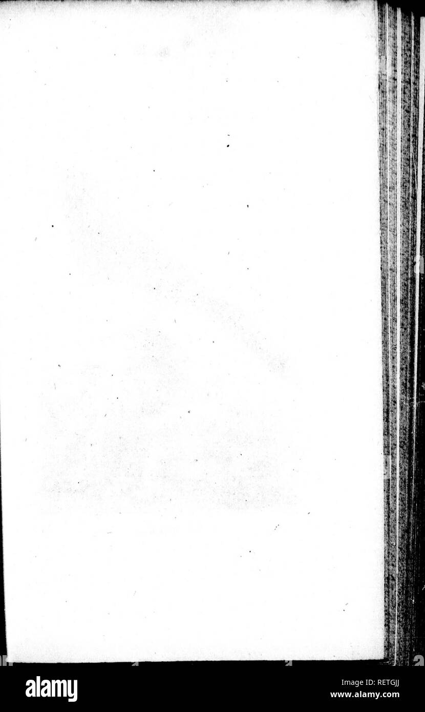 . Die Naturgeschichte der Vögel [microform]: Aus dem Französischen von Graf de Buffon. Ornithologie; Vögel; Ornithologie; Oiseaux. %1. Bitte beachten Sie, dass diese Bilder sind von der gescannten Seite Bilder, die digital für die Lesbarkeit verbessert haben mögen - Färbung und Aussehen dieser Abbildungen können nicht perfekt dem Original ähneln. extrahiert. Buffon, Georges Louis Leclerc, comte de, 1707-1788. London: Gedruckt für A. Strahan und T. Cadell in der Faser, und J. Murray. .. Stockfoto