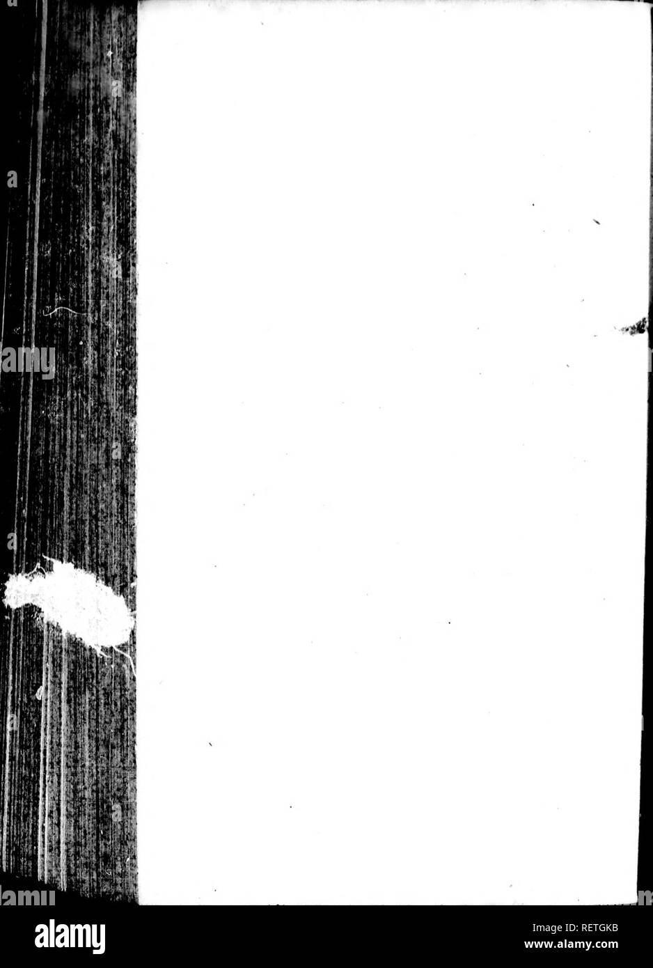 . Die Naturgeschichte der Vögel [microform]: Aus dem Französischen von Graf de Buffon. Ornithologie; Vögel; Ornithologie; Oiseaux. . Bitte beachten Sie, dass diese Bilder sind von der gescannten Seite Bilder, die digital für die Lesbarkeit verbessert haben mögen - Färbung und Aussehen dieser Abbildungen können nicht perfekt dem Original ähneln. extrahiert. Buffon, Georges Louis Leclerc, comte de, 1707-1788. London: Gedruckt für A. Strachan und T. Cadell in der Faser, und J. Murray. .. Stockfoto