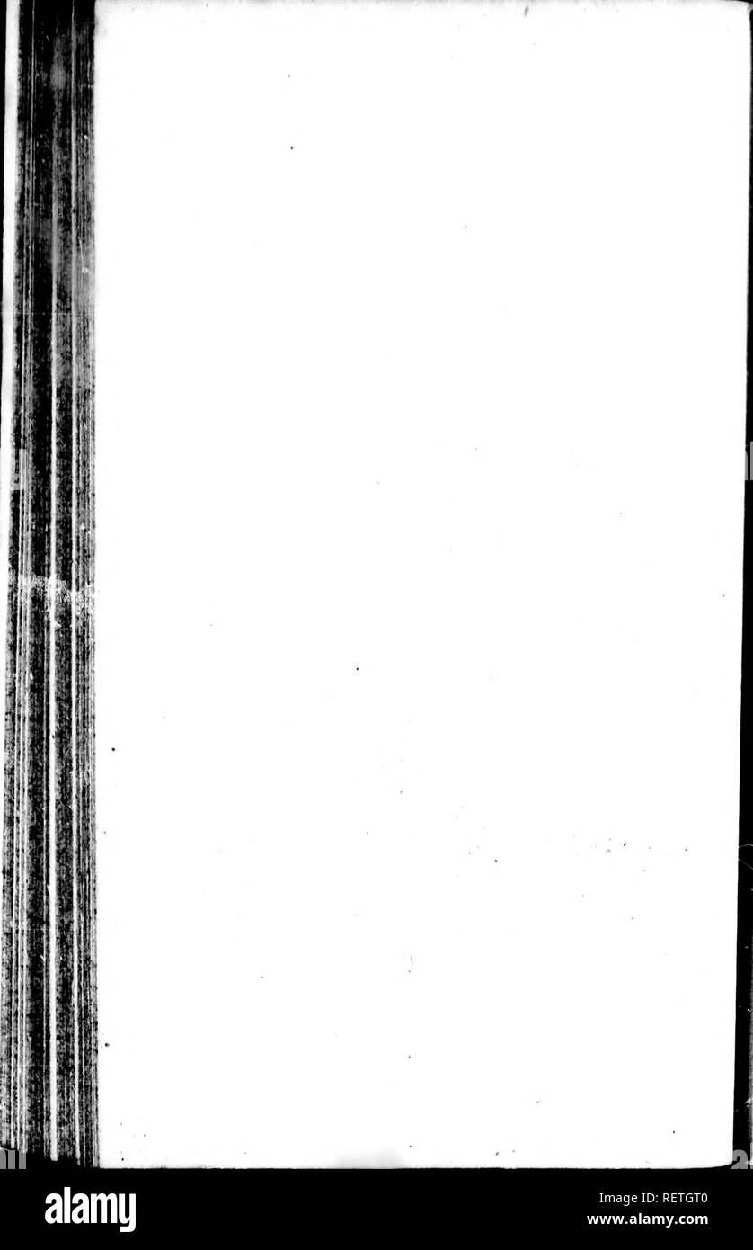 . Die Naturgeschichte der Vögel [microform]: Aus dem Französischen von Graf de Buffon. Ornithologie; Vögel; Ornithologie; Oiseaux. . Bitte beachten Sie, dass diese Bilder sind von der gescannten Seite Bilder, die digital für die Lesbarkeit verbessert haben mögen - Färbung und Aussehen dieser Abbildungen können nicht perfekt dem Original ähneln. extrahiert. Buffon, Georges Louis Leclerc, comte de, 1707-1788. London: Gedruckt für A. Strachan und T. Cadell in der Faser, und J. Murray. .. Stockfoto