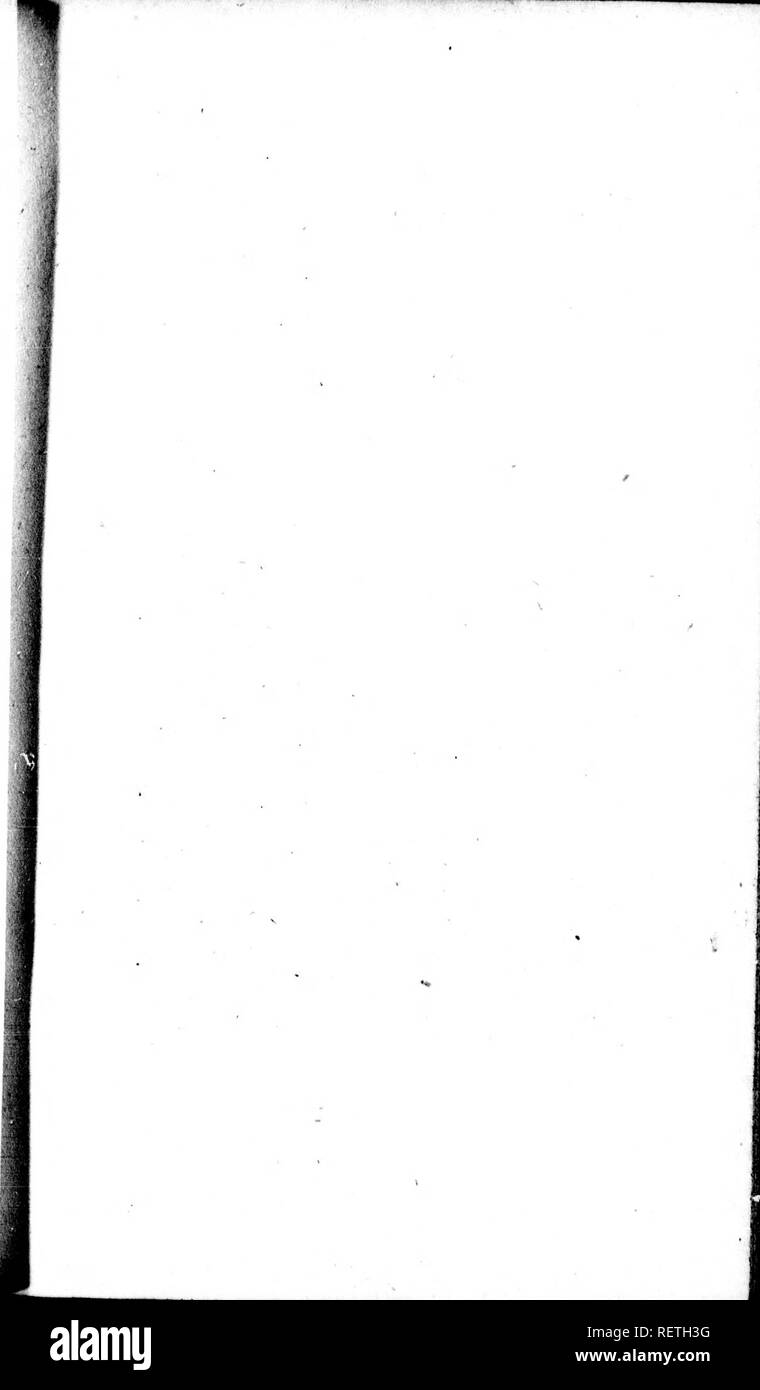 . Die Naturgeschichte der Vögel [microform]: Aus dem Französischen von Graf de Buffon. Ornithologie; Vögel; Ornithologie; Oiseaux. . Bitte beachten Sie, dass diese Bilder sind von der gescannten Seite Bilder, die digital für die Lesbarkeit verbessert haben mögen - Färbung und Aussehen dieser Abbildungen können nicht perfekt dem Original ähneln. extrahiert. Buffon, Georges Louis Leclerc, comte de, 1707-1788. London: Gedruckt für A. Strachan und T. Cadell in der Faser, und J. Murray. .. Stockfoto