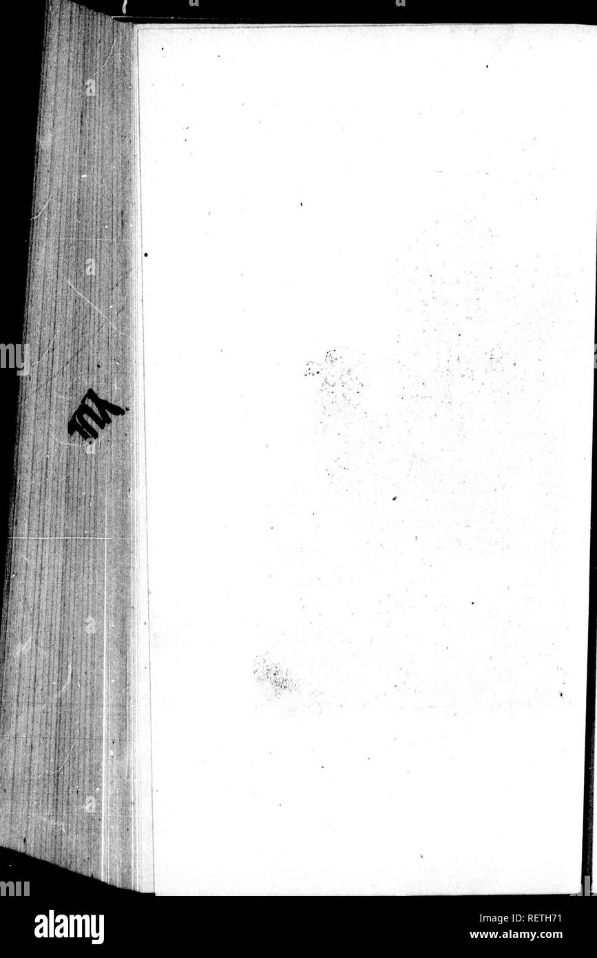 . Die Naturgeschichte der Vögel [microform]: Aus dem Französischen von Graf de Buffon. Ornithologie; Vögel; Ornithologie; Oiseaux. . Bitte beachten Sie, dass diese Bilder sind von der gescannten Seite Bilder, die digital für die Lesbarkeit verbessert haben mögen - Färbung und Aussehen dieser Abbildungen können nicht perfekt dem Original ähneln. extrahiert. Buffon, Georges Louis Leclerc, comte de, 1707-1788. London: Gedruckt für A. Strachan und T. Cadell in der Faser, und J. Murray. .. Stockfoto