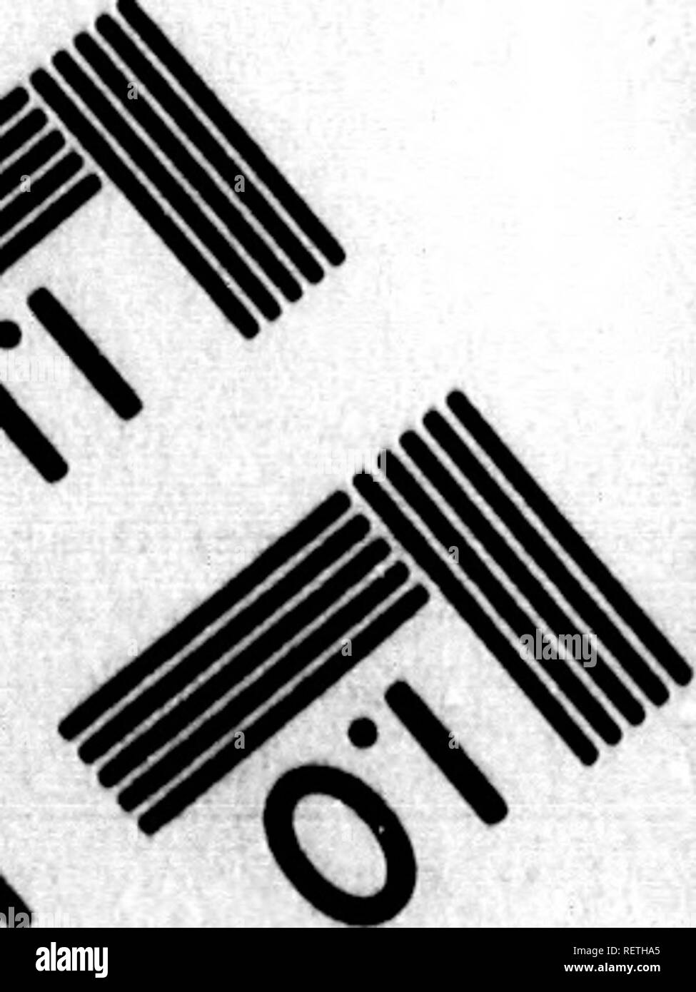 . Die Naturgeschichte der Vögel [microform]: Aus dem Französischen von Graf de Buffon. Ornithologie; Vögel; Ornithologie; Oiseaux. o. Bitte beachten Sie, dass diese Bilder sind von der gescannten Seite Bilder, die digital für die Lesbarkeit verbessert haben mögen - Färbung und Aussehen dieser Abbildungen können nicht perfekt dem Original ähneln. extrahiert. Buffon, Georges Louis Leclerc, comte de, 1707-1788. London: Gedruckt für A. Strachan und T. Cadell in der Faser, und J. Murray. .. Stockfoto