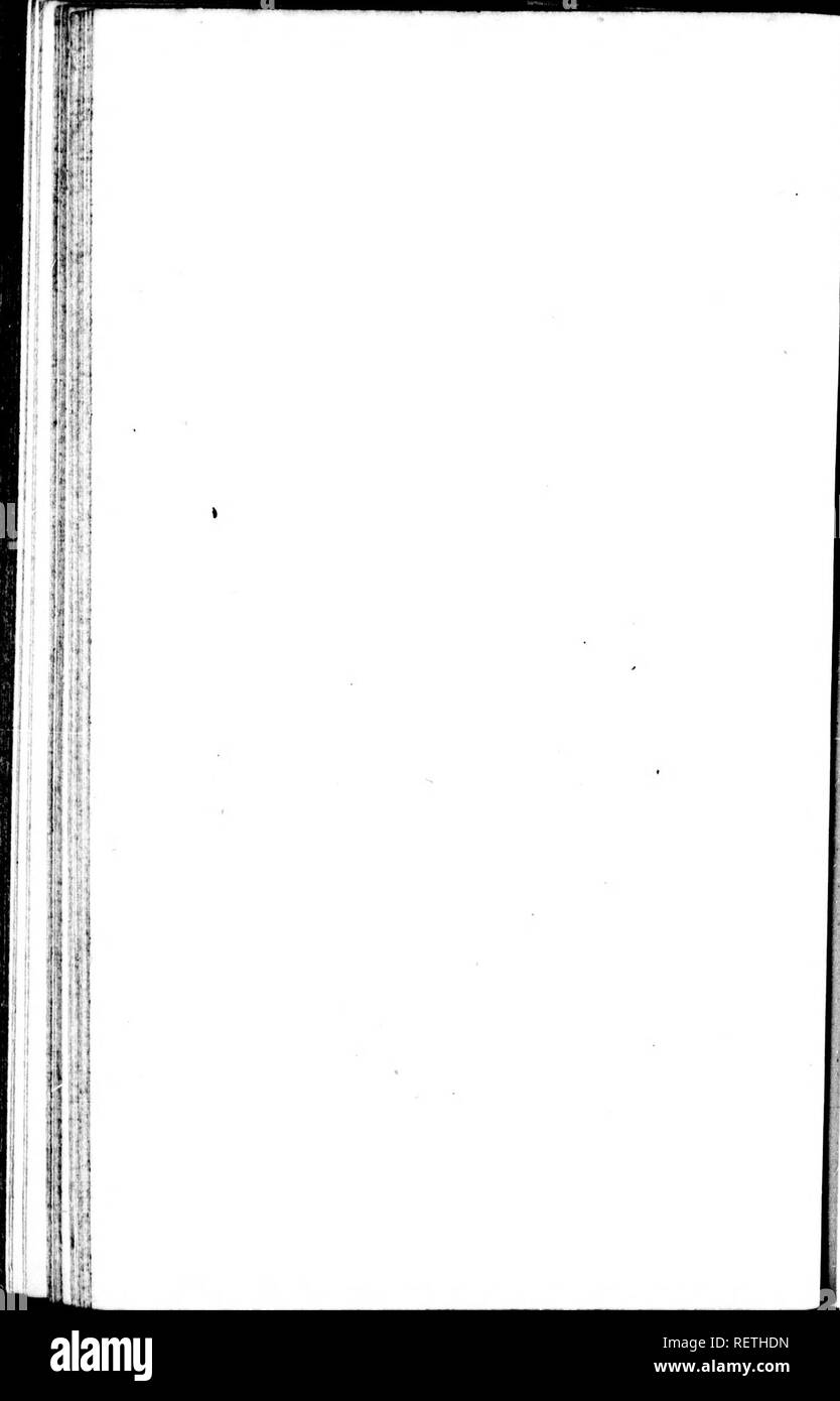 . Die Naturgeschichte der Vögel [microform]: Aus dem Französischen von Graf de Buffon. Ornithologie; Vögel; Ornithologie; Oiseaux. . Bitte beachten Sie, dass diese Bilder sind von der gescannten Seite Bilder, die digital für die Lesbarkeit verbessert haben mögen - Färbung und Aussehen dieser Abbildungen können nicht perfekt dem Original ähneln. extrahiert. Buffon, Georges Louis Leclerc, comte de, 1707-1788. London: Gedruckt für A. Strachan und T. Cadell in der Faser, und J. Murray. .. Stockfoto