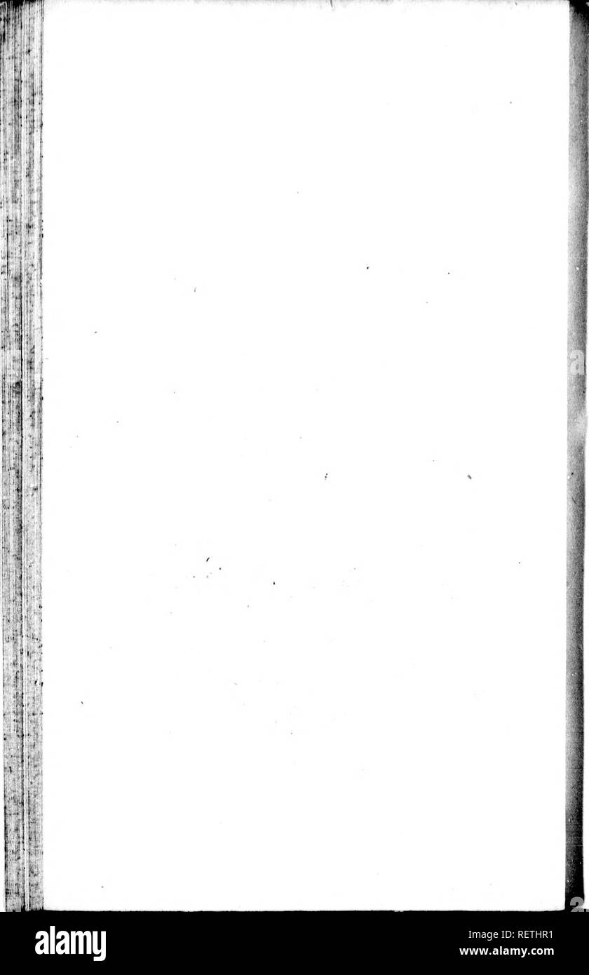 . Die Naturgeschichte der Vögel [microform]: Aus dem Französischen von Graf de Buffon. Ornithologie; Vögel; Ornithologie; Oiseaux. . Bitte beachten Sie, dass diese Bilder sind von der gescannten Seite Bilder, die digital für die Lesbarkeit verbessert haben mögen - Färbung und Aussehen dieser Abbildungen können nicht perfekt dem Original ähneln. extrahiert. Buffon, Georges Louis Leclerc, comte de, 1707-1788. London: Gedruckt für A. Strachan und T. Cadell in der Faser, und J. Murray. .. Stockfoto