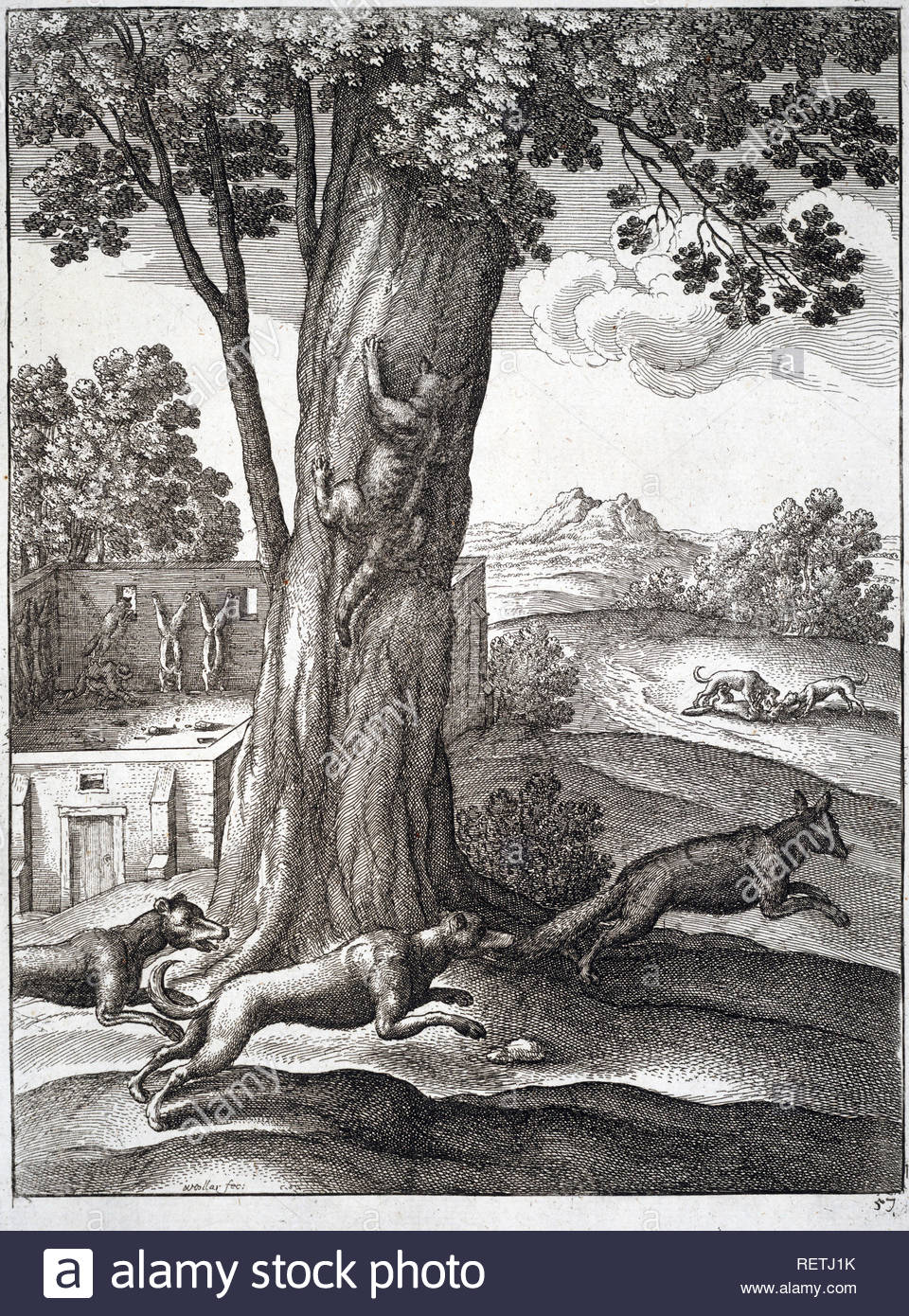 Der Fuchs und die Katze, einer der Aesops Fabeln, Radierung von Böhmische Kupferstecher Wenzel Hollar aus 1600s Stockfoto