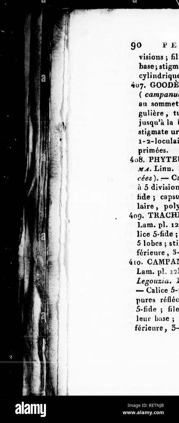 . Histoire Naturelle de vÃ©gÃ©taux classÃ©s par Familles [microforme]: Avec la Citation de la classe et de l'ordre de LinnÃ©, et l'Angabe de l'usage que l'on peut faire des Plantes dans les Arts, le Commerce, l'agriculture, Le Jardinage, la mÃ©Decine, etc. des zahlen dessinÃ©es d'Après-ski Natur, et un-Gattungen complet, selon le systÃ¨me de LinnÃ©, avec De renvois aux Familles naturelles de A.L. de Jussieu. Botanique; Botanik. 90 W E N T A N D R I K Visionen; Filets des Ã © tamiues dilatÃ © à leur Base; stigmate 2 - Fide; Kapsel infÃ©rieure^ cylindrique, 2-loculaire. 407. GOODÃNE, GooDEK Stockfoto