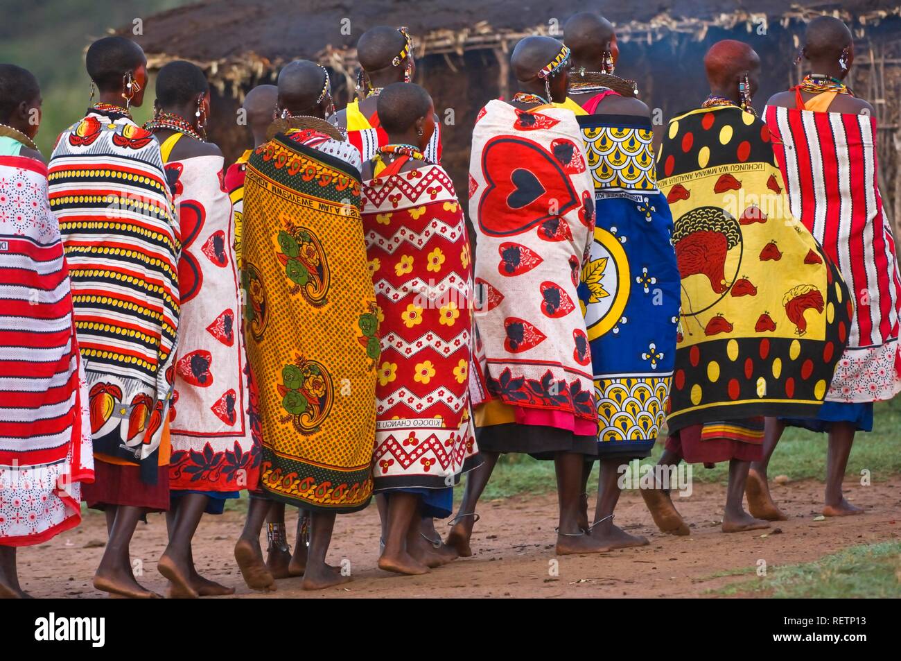 Masai tanzende Frauen, Masai Mara, Kenia, Ostafrika Stockfoto