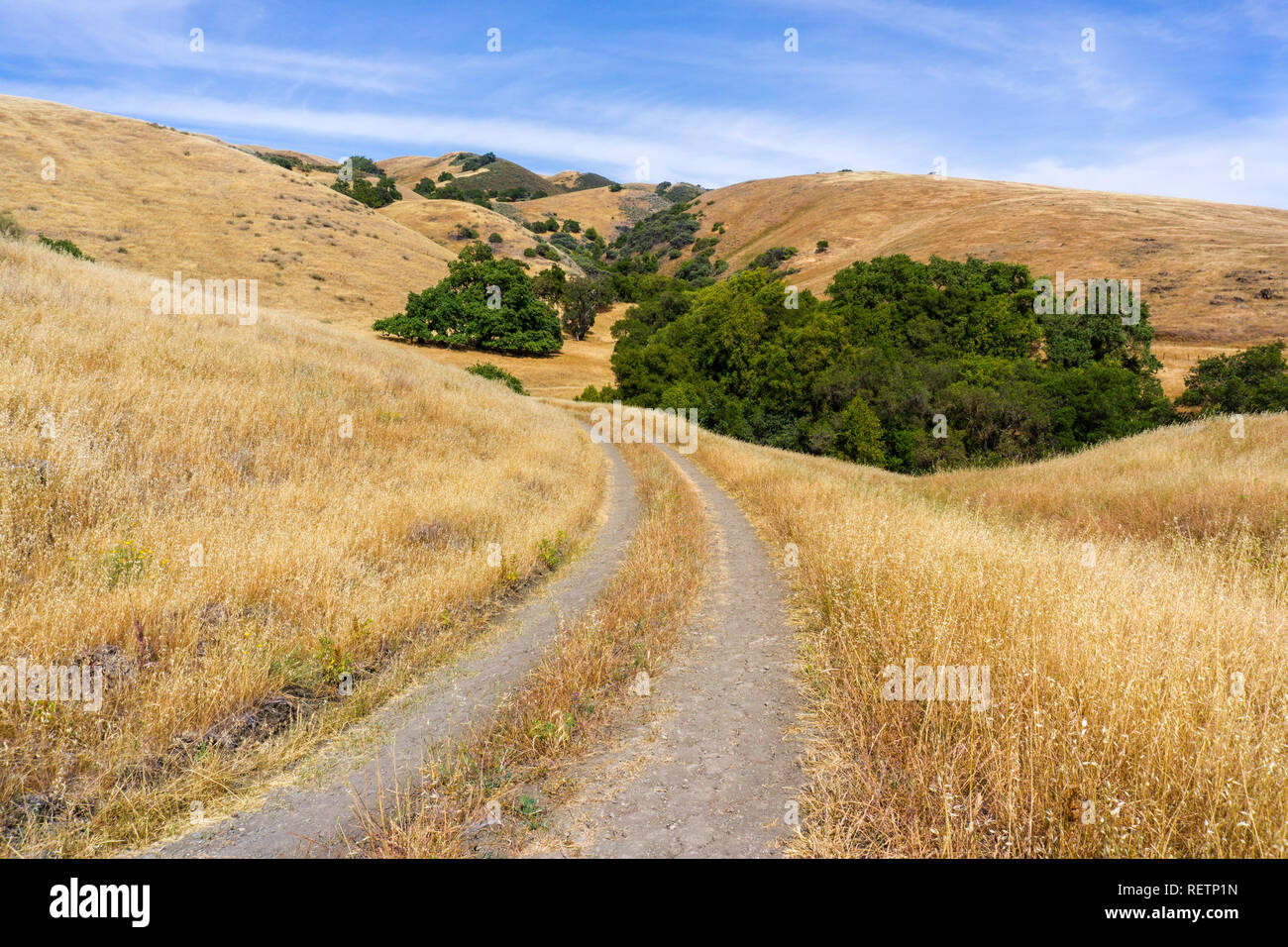 Wanderweg zwischen Hügeln und Tälern in trockenem Gras und Eichen bedeckt, South San Francisco Bay Area, San Jose, Kalifornien Stockfoto
