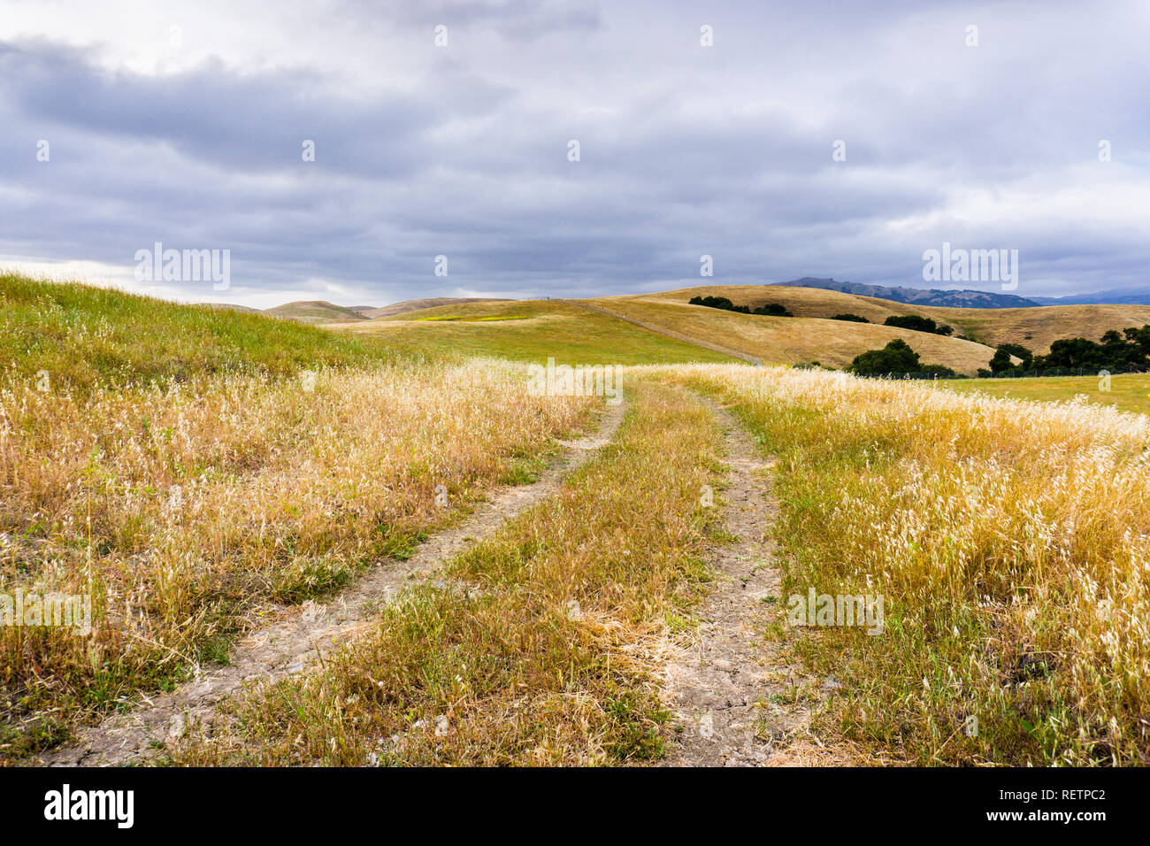 Wanderweg zwischen Hügeln und Tälern in trockenem Gras bedeckt, South San Francisco Bay Area, San Jose, Kalifornien Stockfoto
