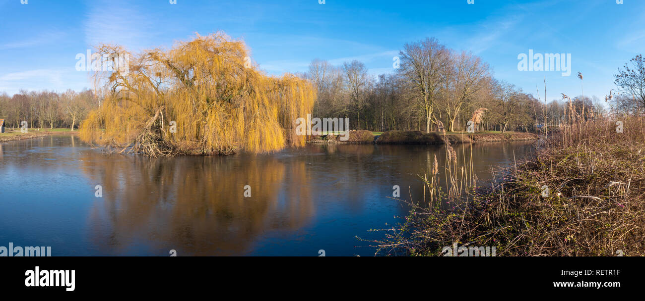 Sonnigen Wintertag im Walking Park 'brielmeersen "Belgien Stockfoto