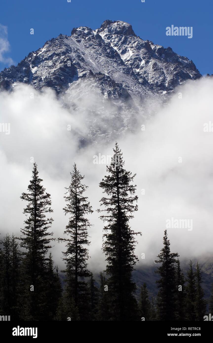 Ala Archa Canyon, Boks Peak, Kirgistan Stockfoto