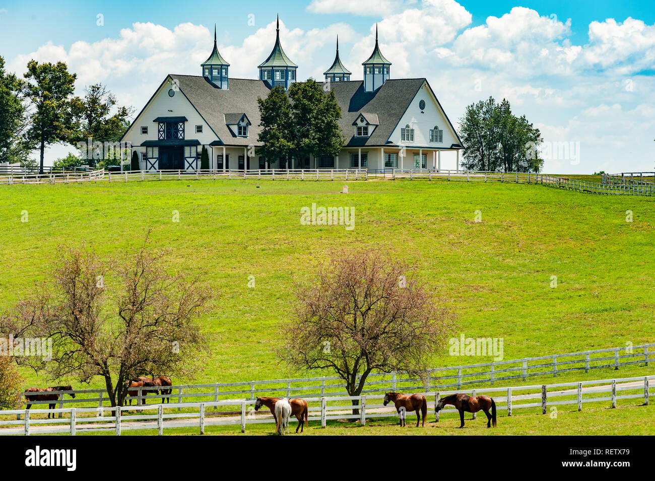 Manchester Scheune in Lexington Kentucky, am meisten fotografierte Scheune in Kentucky Stockfoto