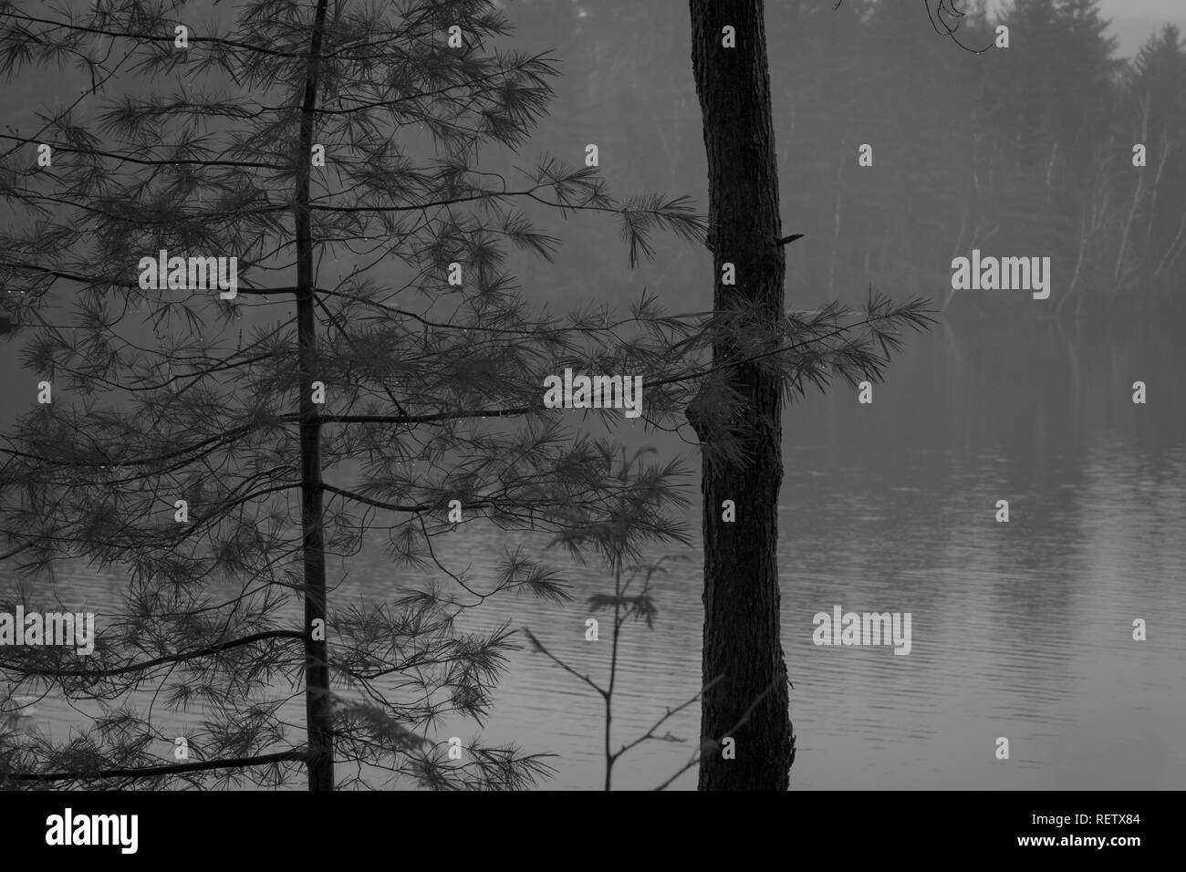Nebel Rollen in über einem See im Norden von Ontario, Kanada. Schwarz und Weiß. Stockfoto