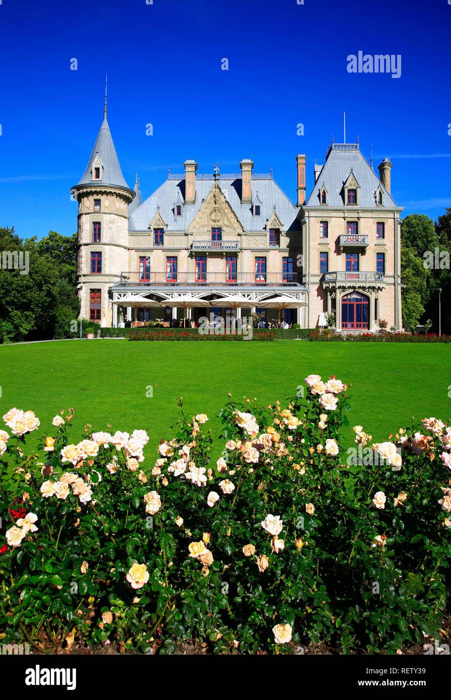 Schloss Schadau, Thun, Kanton Bern, Schweiz, Europa Stockfoto